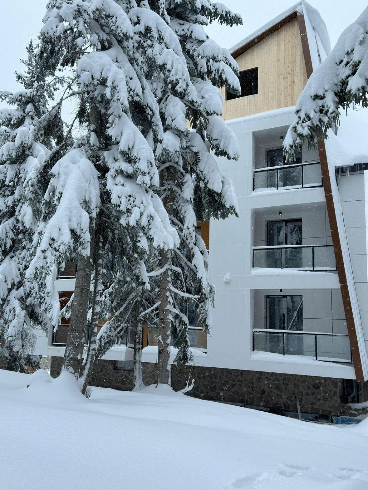 Forest Villa Goderdzi Ngoại thất bức ảnh